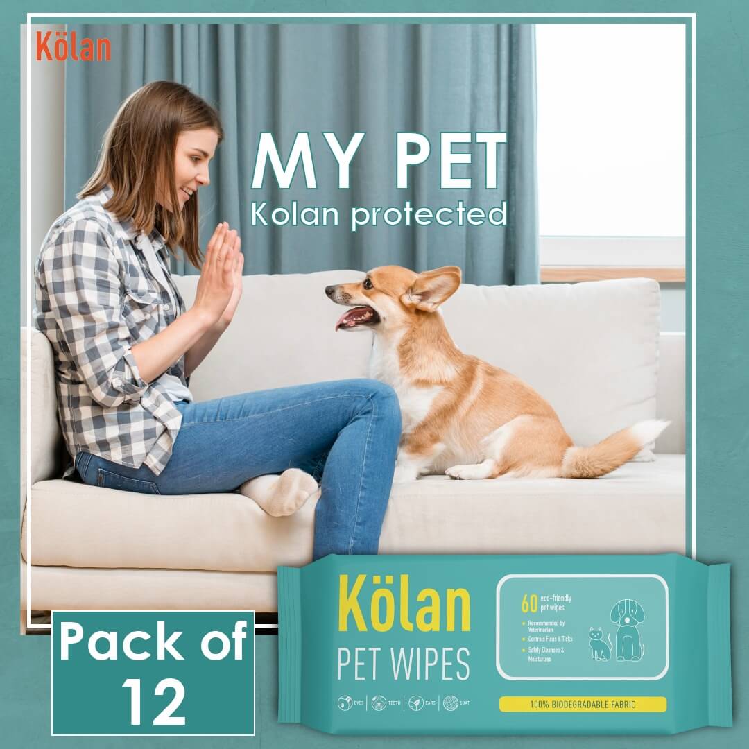 kolan pet wipes pack of 12