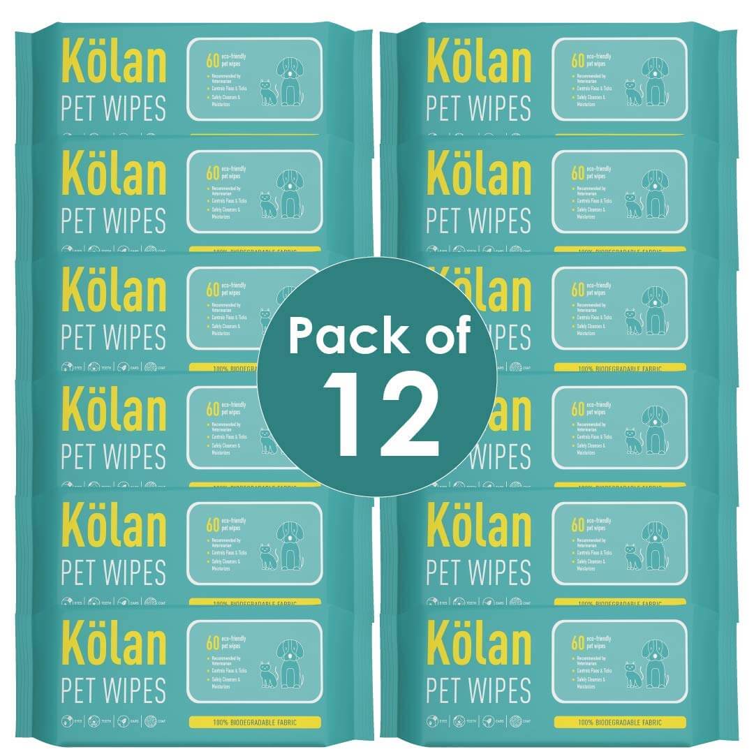 kolan pet wipes pack of 12