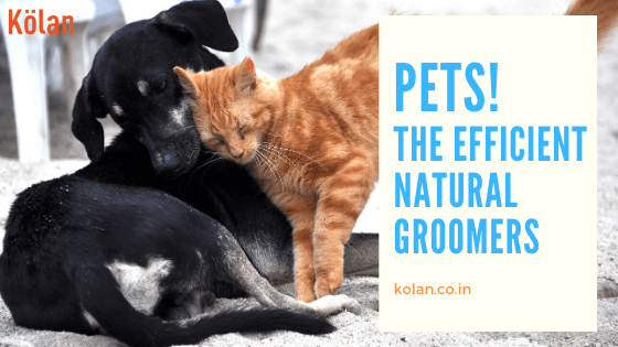 Pets-The-Efficient-Natural-Groomers-1