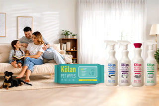 Household Cleaners