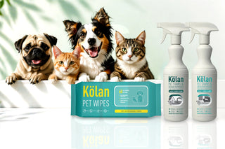 Pet Care