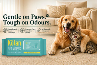 Pet Wipes