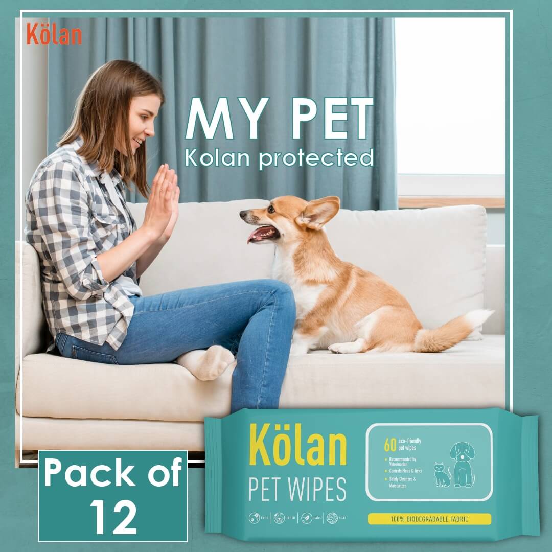 
                  
                    kolan pet wipes pack of 12
                  
                