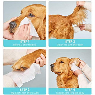 Kolan Pet Wipes/Grooming Wipes for Dogs, Cats and Other Pets 60 Pcs/Pack (Pack of 2)