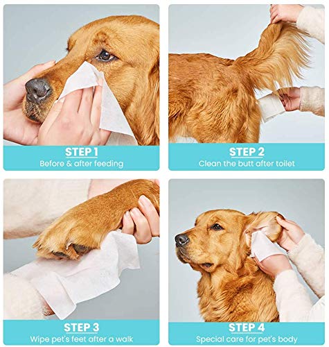 Kolan Organic Pet Stains & Odour Remover (for Hard Surfaces) 700 ml 2 Pet Wipes for Dogs, Cats and Other Pets 60 Pcs/Pack ||- (Combo Pack)