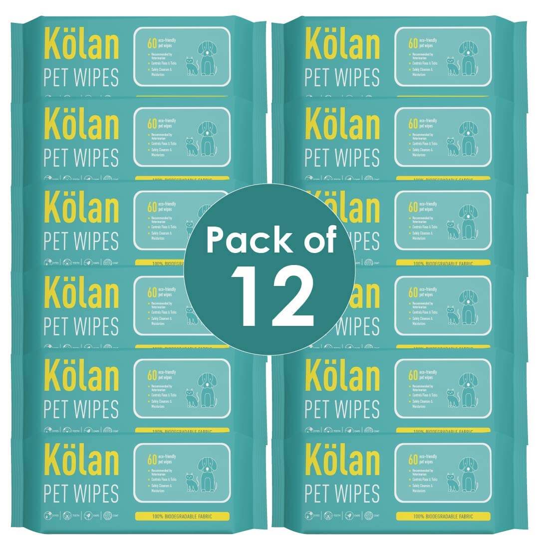 
                  
                    kolan pet wipes pack of 12
                  
                